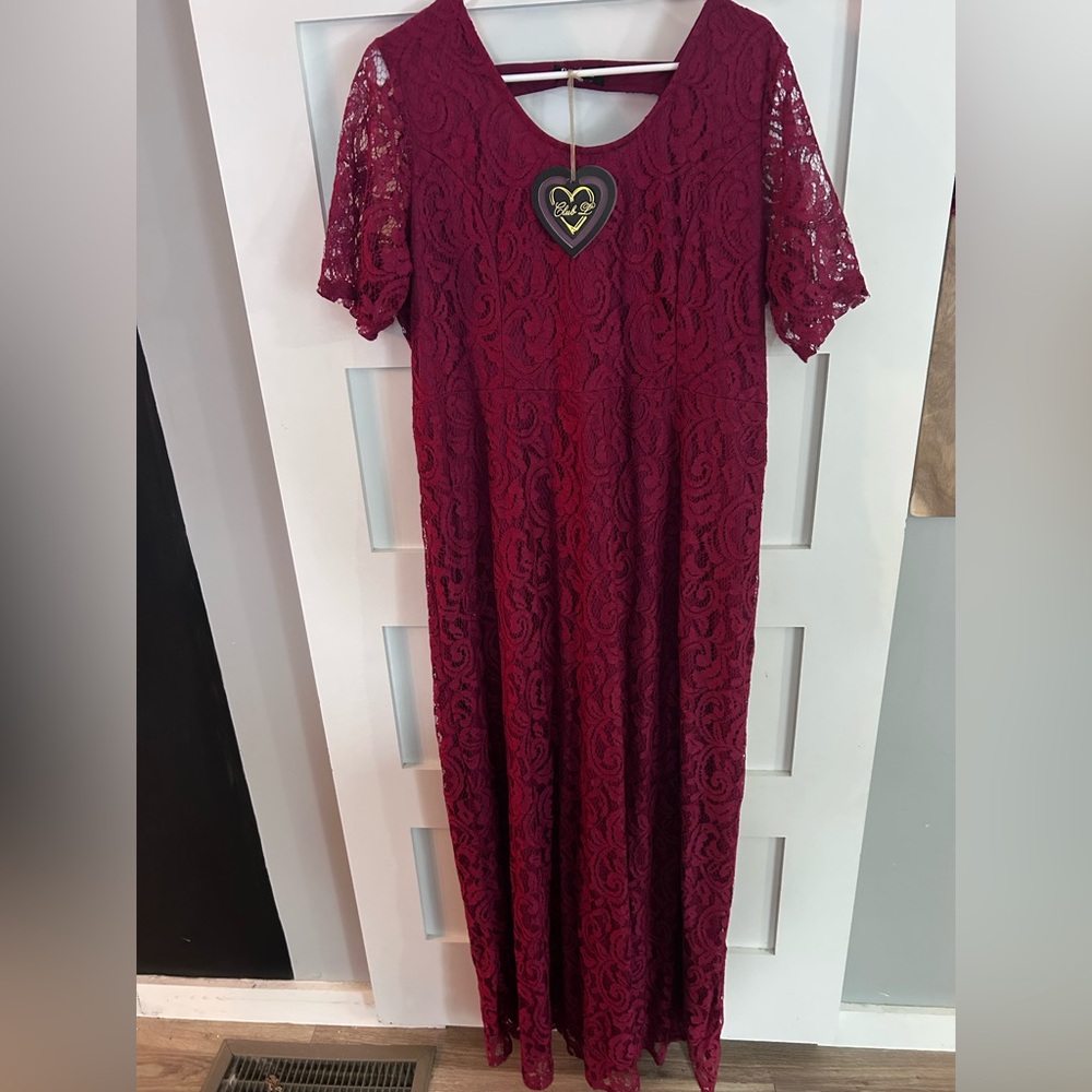 Elegant Lace Burgundy Dress NEW Womens 22
